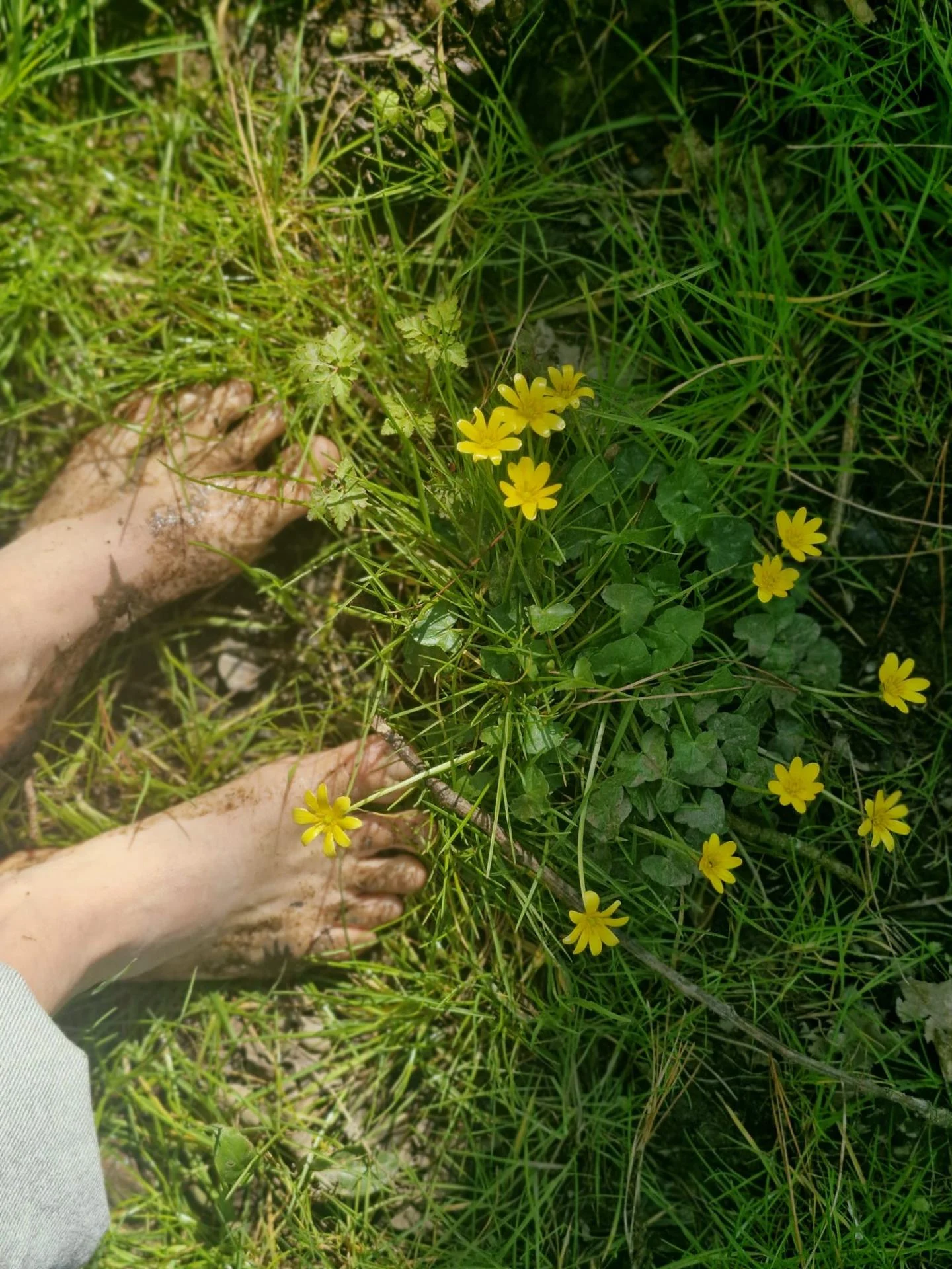 42ef414c b57a 4645 8680 a27ee3da594c 2