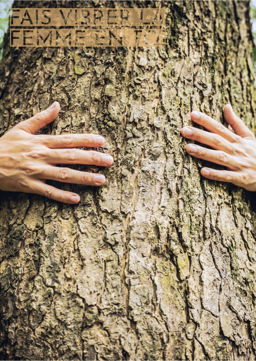 Femme sans visage nature ca lin arbre
