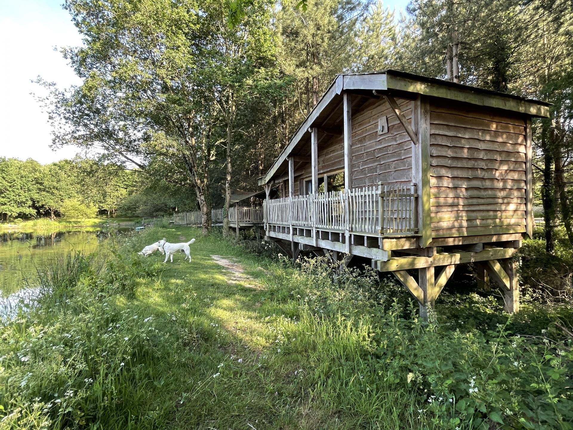 La Cabane du Hibou